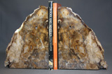 Petrified Wood Bookends